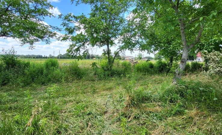 parcel for sale - Zduńska Wola (gw), Janiszewice, Karolew