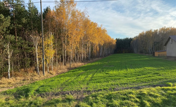 działka na sprzedaż - Grzegorzew, BARŁOGI, Emilewo