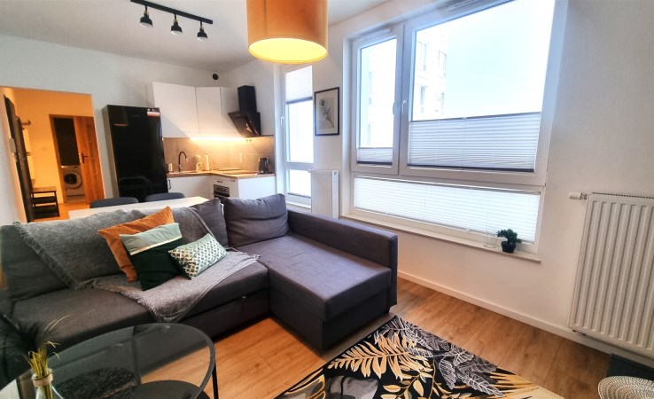 apartment for rent - Łódź, Śródmieście, ul. Zachodnia/Ogrodowa