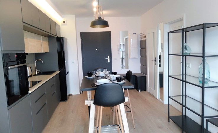 apartment for rent - Łódź, Śródmieście, TYMIENIECKIEGO