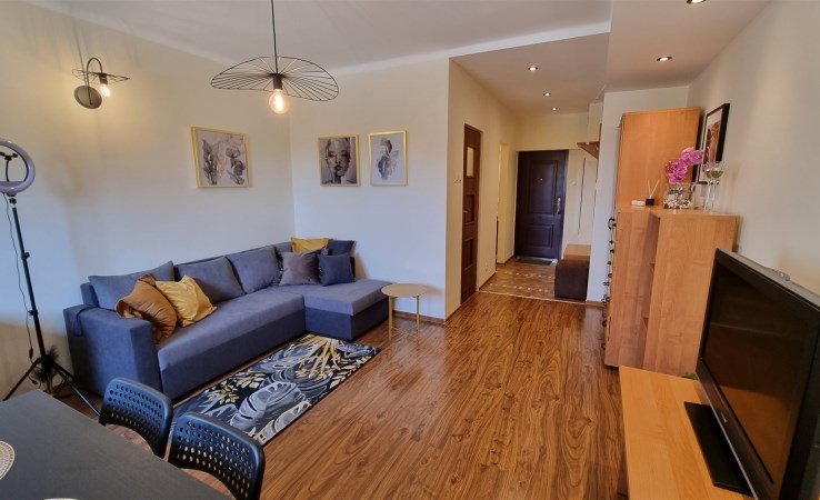 apartment for rent - Łódź, Śródmieście, ul. Pomorska