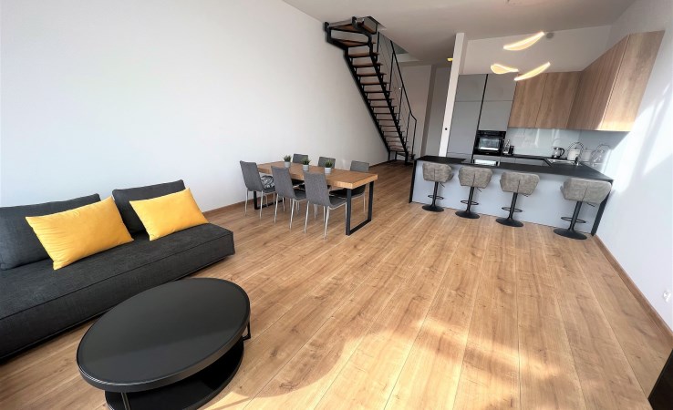 mieszkanie na wynajem - Łódź, Śródmieście, TYMIENIECKIEGO