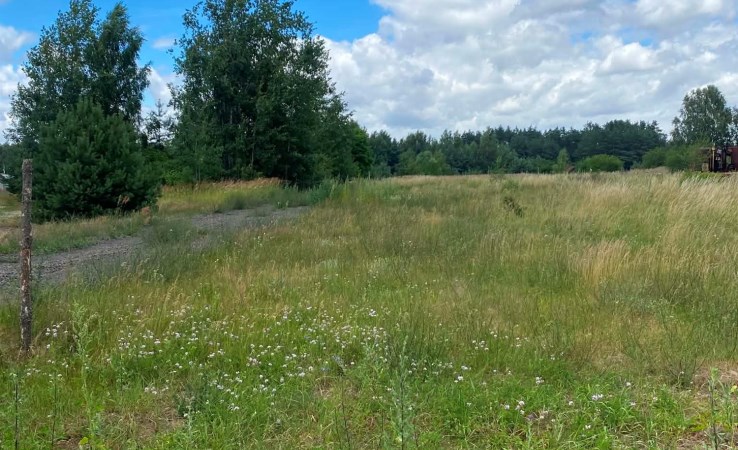 działka na sprzedaż - Zduńska Wola (gw), Suchoczasy